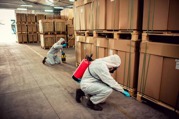 Trusted Lewisville, TX Pest Control Experts