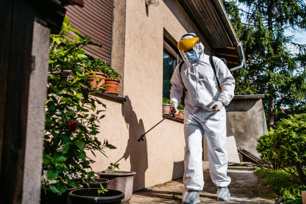 Best Rat Extermination Near Me  in Lewisville, TX