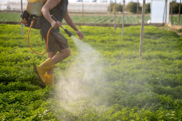 Best Best Pest Control Companies  in Lewisville, TX